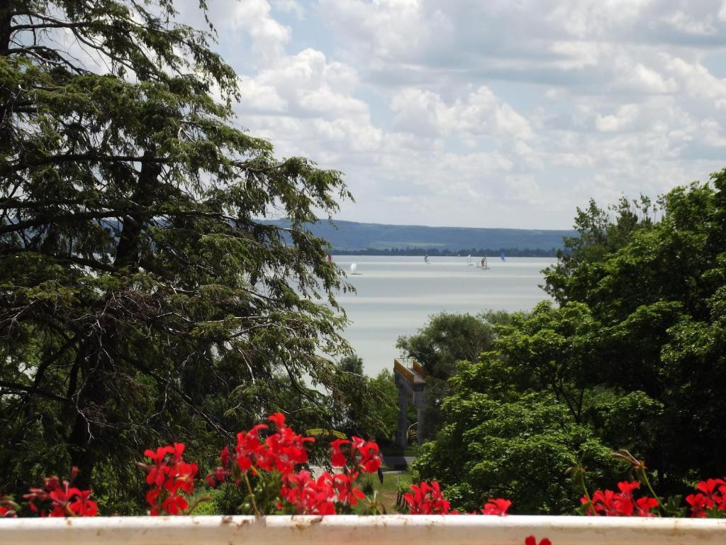 Sir David Balaton Castle Apartmanok Balatonszepezd Extérieur photo