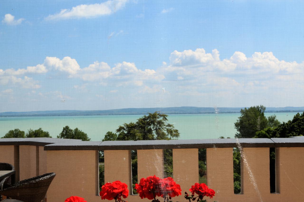 Sir David Balaton Castle Apartmanok Balatonszepezd Extérieur photo