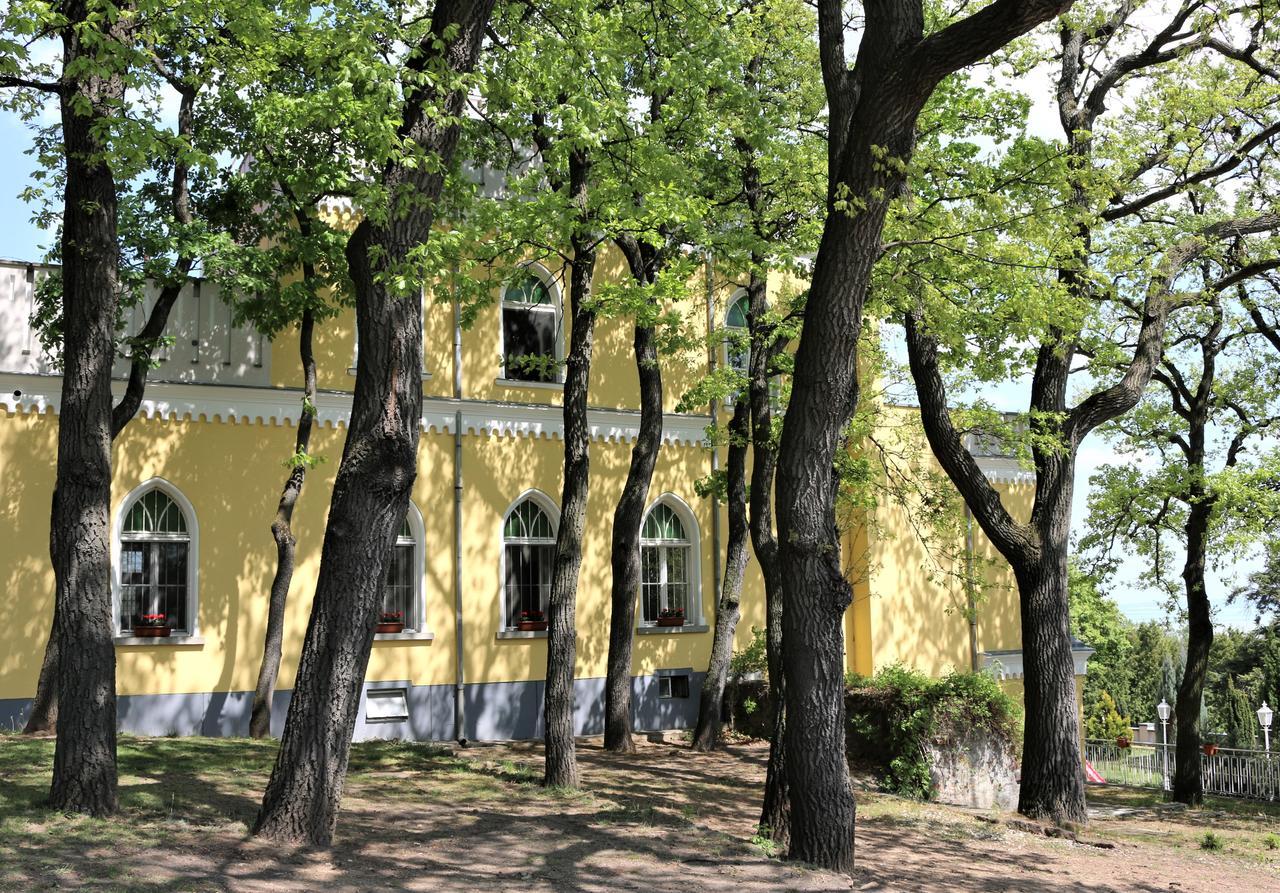 Sir David Balaton Castle Apartmanok Balatonszepezd Extérieur photo
