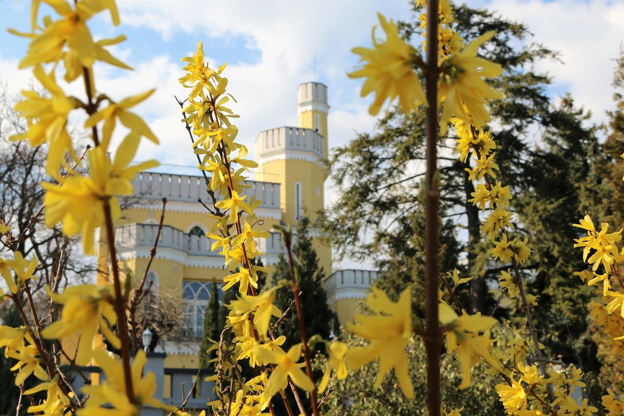 Sir David Balaton Castle Apartmanok Balatonszepezd Extérieur photo
